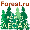 Все о российских лесах
